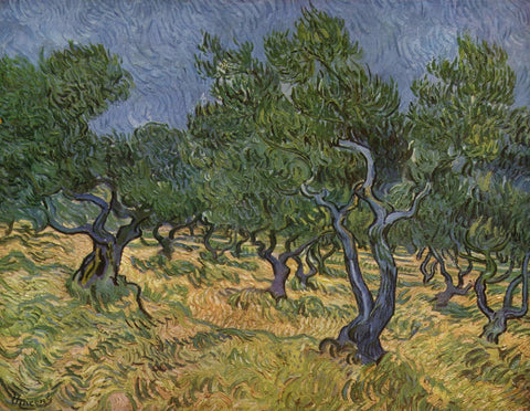 Olive Grove by Vincent Van Gogh