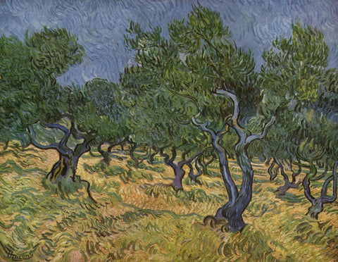 Olive Grove - Posters by Vincent Van Gogh