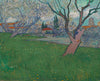 Orchards in Blossom View of Arles - Canvas Prints