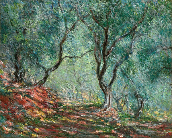 Claude Monet - Olive Tree Wood in the Moreno Garden - Canvas Prints