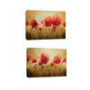 Set Of 2 Poppy Field In Summer - Gallery Wrapped Art Print (24x30)