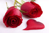 Best Valentine's Day Gift - Red Roses - Framed Prints