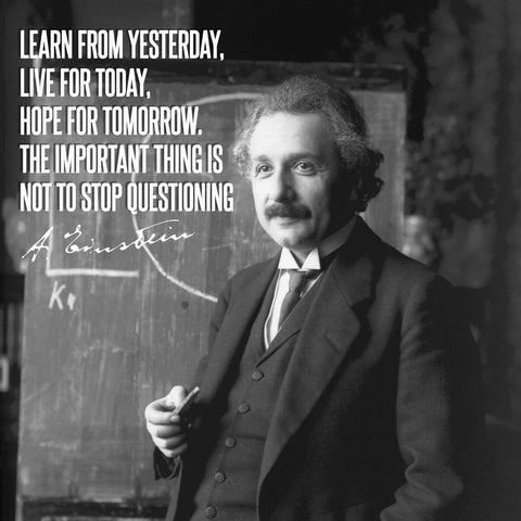 Motivational Poster - Learn From Yesterday Live For Today Hope For Tomorrow The Important Thing Is Not To Stop Questioning - Albert Einstein - Inspirational Quote by Roseann Jahns
