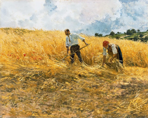 The Harvest - Canvas Prints