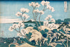 Fuji from Gotenyama at Shinagawa on the Tokaido – Katsushika Hokusai - Framed Prints