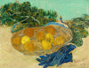 Still Life of Oranges and Lemons with Blue Gloves - Art Prints
