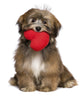 Valentine's Day Gift - Cute Dog with Heart - Canvas Prints