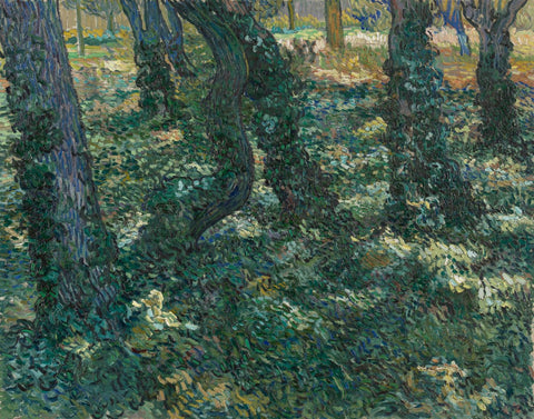 Undergrowth - Large Art Prints by Vincent Van Gogh