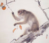 Monkey - Canvas Prints