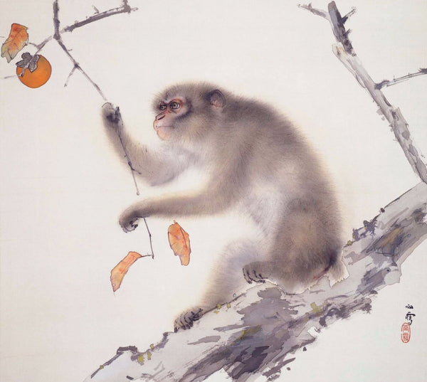Monkey - Art Prints