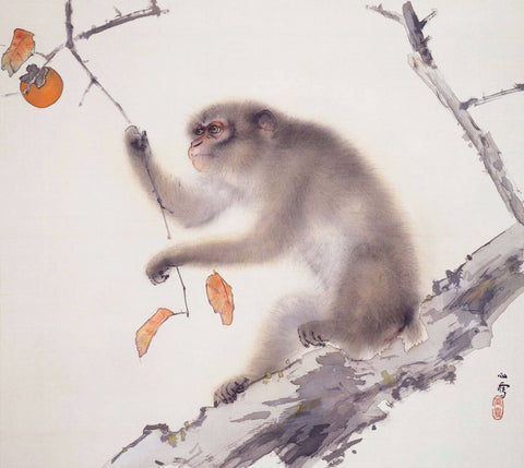Monkey by Sigil