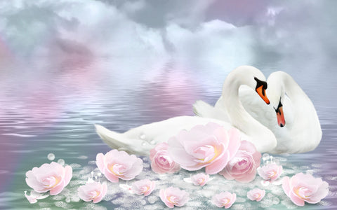 Valentine's Day Gift - Swan Romance - Framed Prints