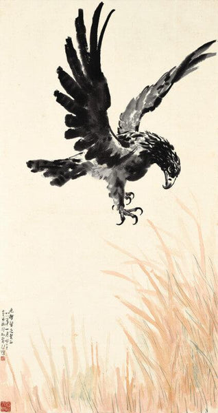 Soaring Eagle - Art Prints