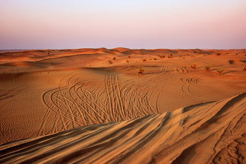 Sand Tracks - Life Size Posters