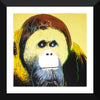 Set Of 10 Andy Warhol - Endangered Species - Framed Digital Art Print (12x12) each