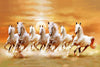 Seven Magnificent White Horses Running - Large Art Prints