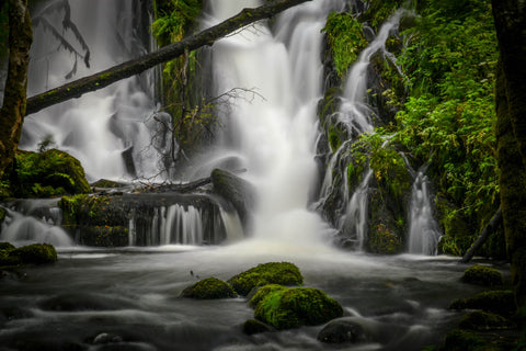 Welcome To The Jungle by Iain MacFadzean