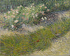 Grass and Butterflies - Large Art Prints