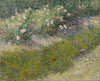 Grass and Butterflies - Canvas Prints