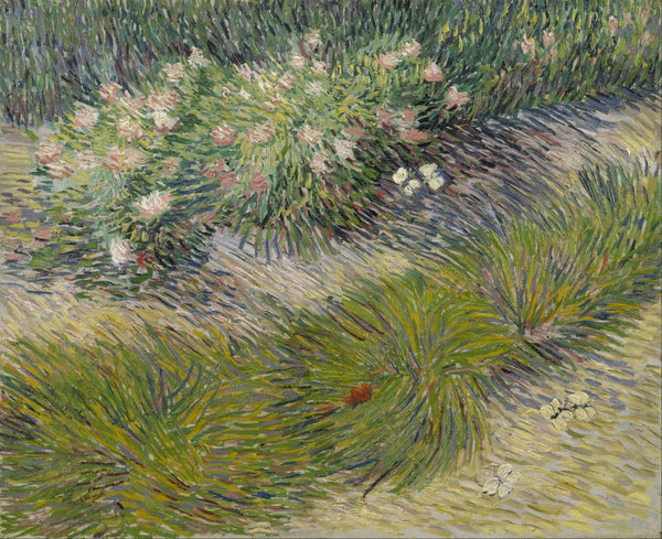 Grass and Butterflies - Large Art Prints