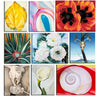 Set of 10 Best of Georgia O'Keeffe Paintings - Poster Paper (12 x 17 inches) each