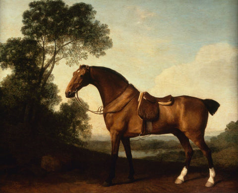 A Saddled Bay Hunter - George Stubbs Horse Painting - Canvas Prints by George Stubbs