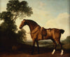 A Saddled Bay Hunter - George Stubbs Horse Painting - Life Size Posters