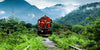 A Steam Train In The Indian Mountains - ALCO WDM3 Train Engine - Life Size Posters