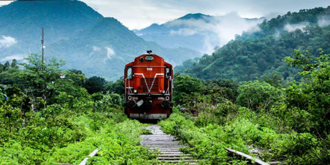 A Steam Train In The Indian Mountains - ALCO WDM3 Train Engine by Pete