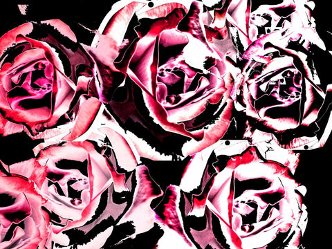 Abstract Art - Steel Roses - Posters by Teri Hamilton