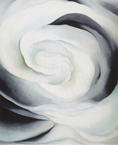 Abstraction White Rose 1 - Posters