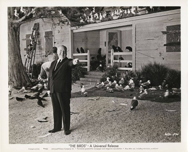 Alfred Hitchcock On The Set of The Birds - Life Size Posters