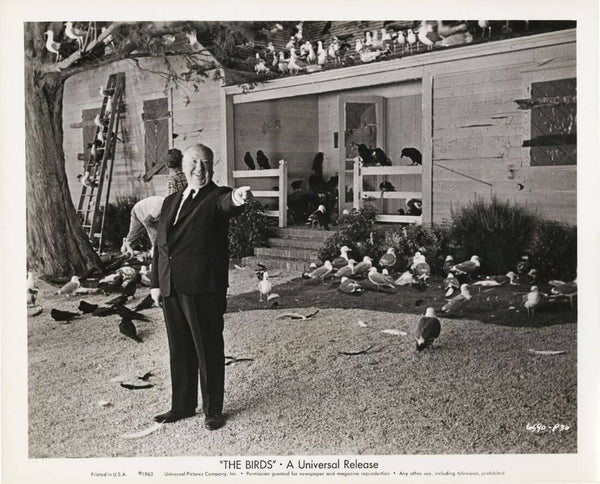 Alfred Hitchcock On The Set of The Birds - Large Art Prints