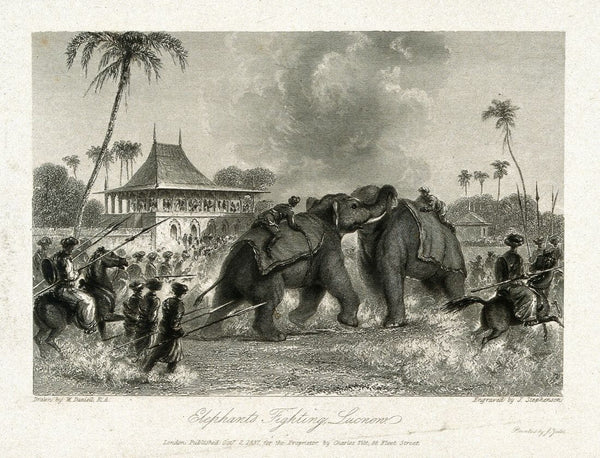An  Elephant Fight In Lucknow India - Vintage Orientalist Painting of India - Framed Prints