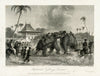 An  Elephant Fight In Lucknow India - Vintage Orientalist Painting of India - Posters