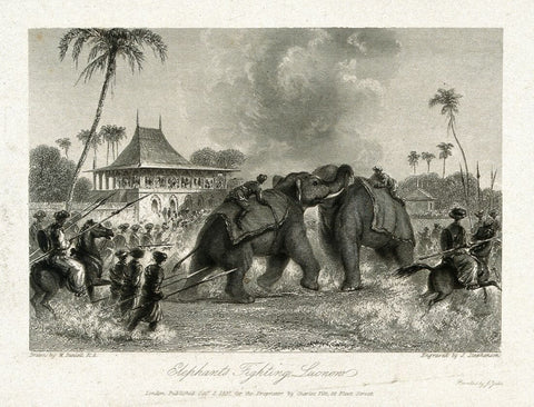 An  Elephant Fight In Lucknow India - Vintage Orientalist Painting of India by J Stephenson