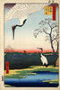 Untitled-(The Flamingos) - Canvas Prints