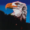 Andy Warhol - Endangered Animal Series -  Bald Eagle - Canvas Prints