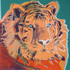 Andy Warhol - Endangered Animal Series - Siberian Tiger - Framed Prints