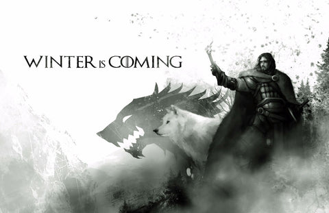 Art From Game Of Thrones - Winter Is Coming - Jon Snow And Ghost - Framed Prints