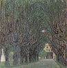 Avenue Of Schloss Kammer Park - Framed Prints