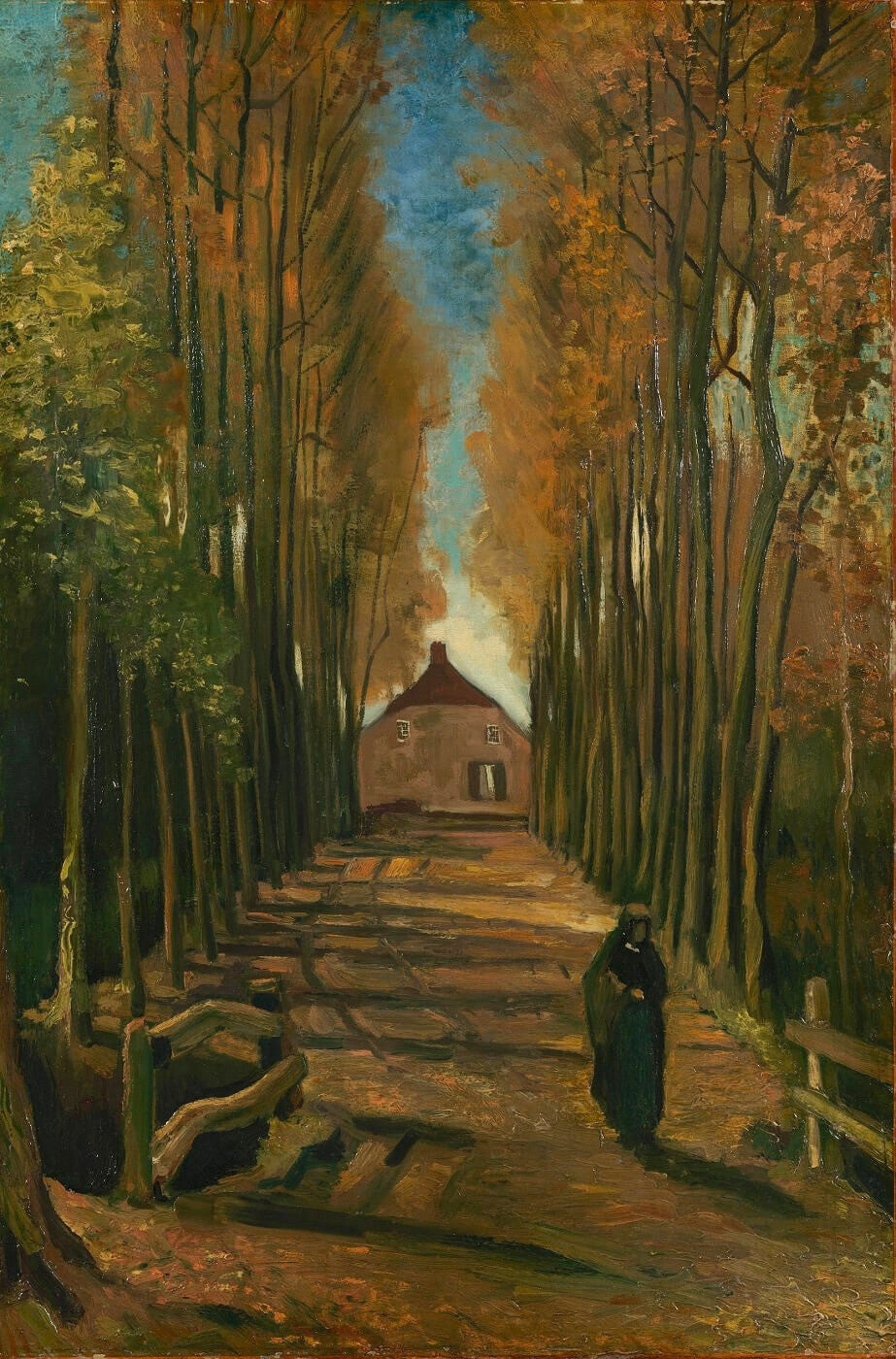 Avenue of Poplars in Autumn Canvas Prints