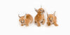 Baby Caracal Kittens - Posters