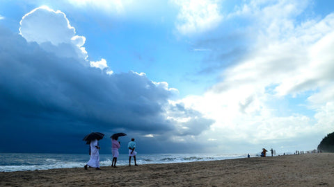 Beach Walk by Emily Harper