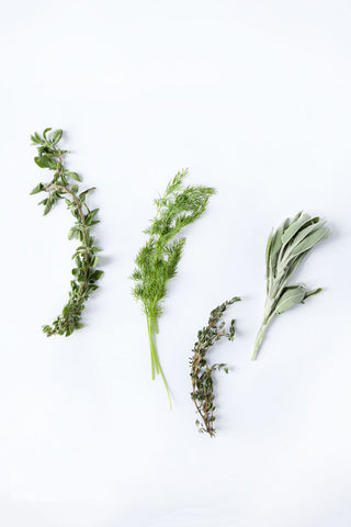 Beautiful Herbs - Framed Prints by Sherly David