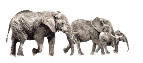 Beautiful Elephant Family - Painting Poster by Sina Irani