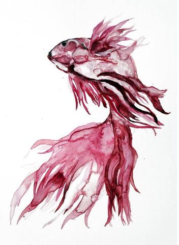 Betta Fish - Contemporary Art Watercolor Painting by Contemporary
