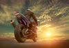 Bike Rider - Canvas Prints