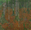 Birch Forest - Gustav Klimt - Life Size Posters