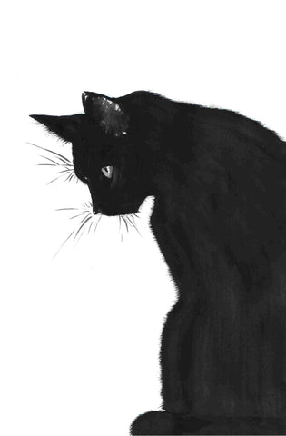 Monochrome Black Cat Art by Sina Irani